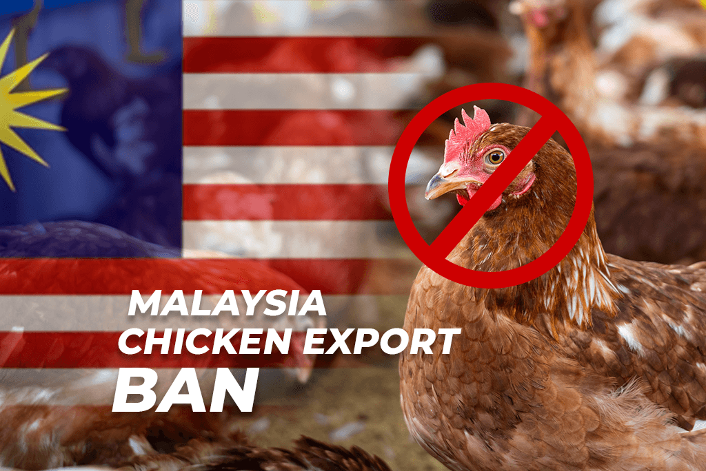 A direct analysis of a government-imposed export ban on chicken and its impact.